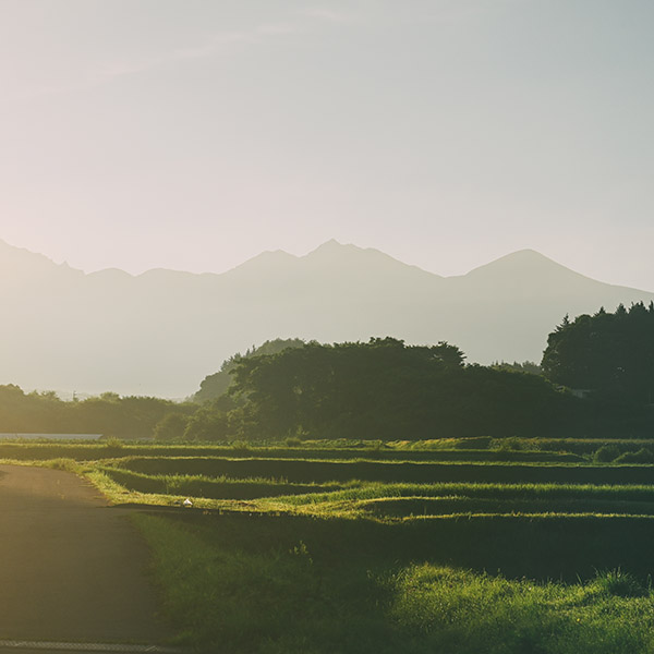 あなたの未来を広げるプラットフォーム。